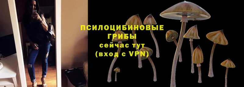 hydra   нарко площадка состав  Галлюциногенные грибы Psilocybe  Белозерск 